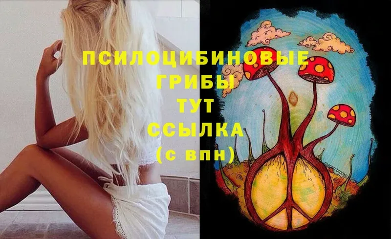 ссылка на мегу как зайти  Ульяновск  Галлюциногенные грибы ЛСД 